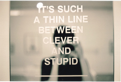 Clever:stupid