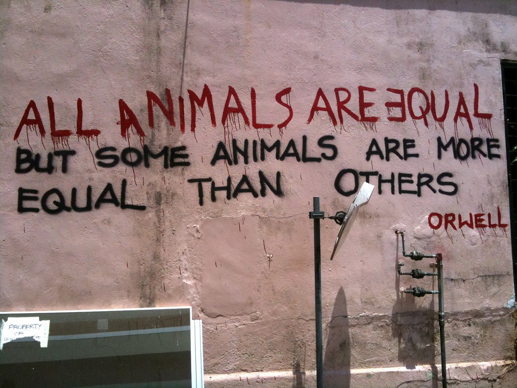 Animal Farm Equality Quotes. QuotesGram